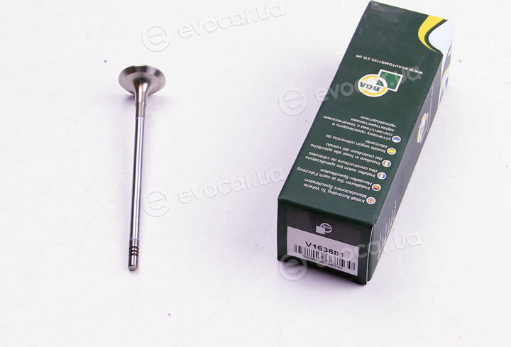 BGA V163881