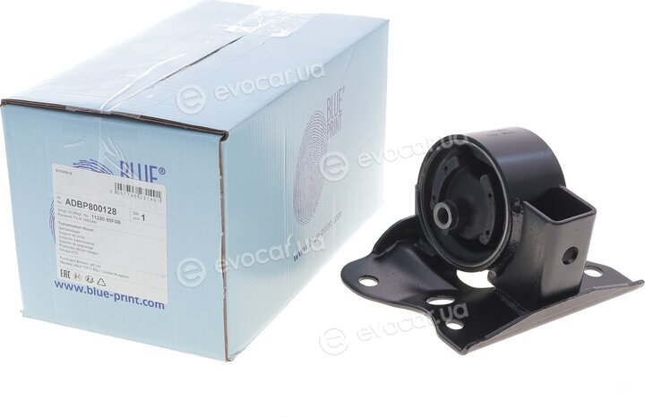Blue Print ADBP800128