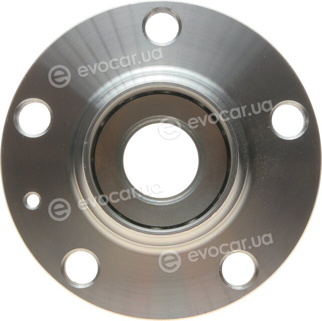 Borsehung B11287