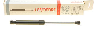 Lesjofors 8063408