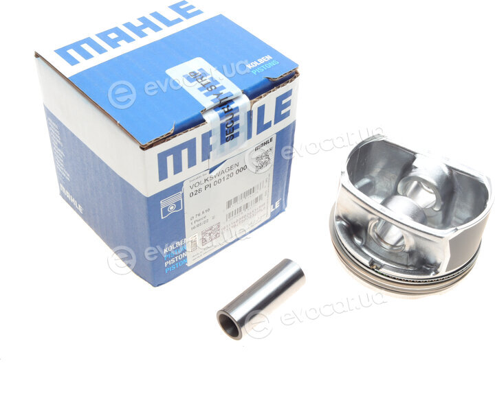 Mahle 028 PI 00120 000