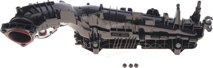 Solgy 114266