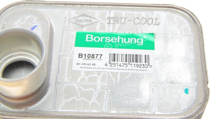 Borsehung B10877