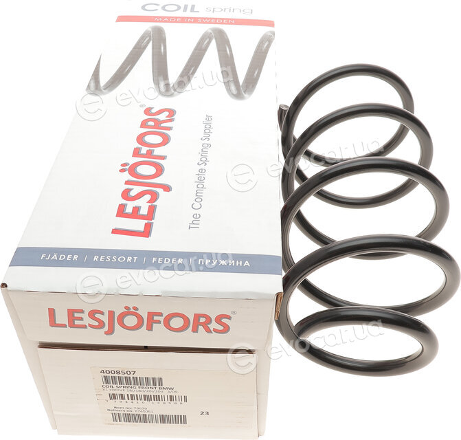 Lesjofors 4008507