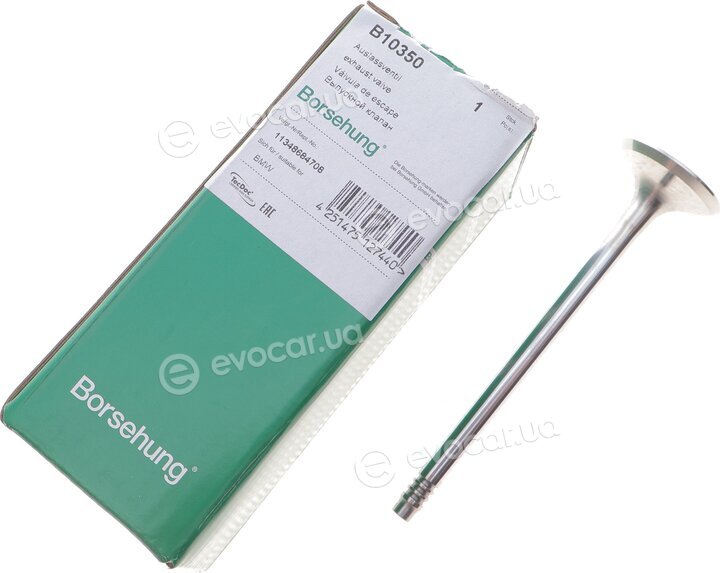 Borsehung B10350