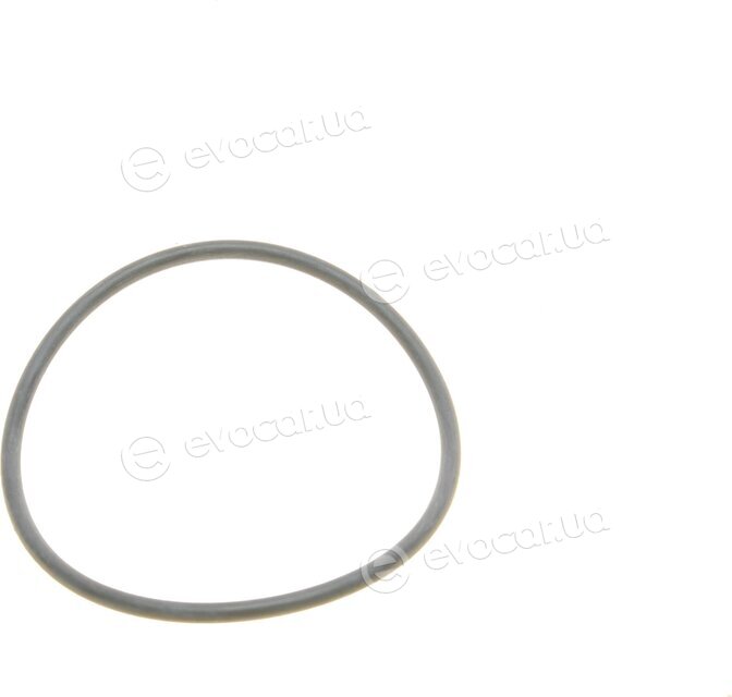 Borsehung B10517
