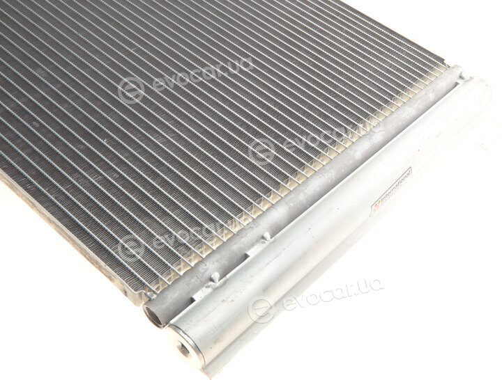 Van Wezel 58005236
