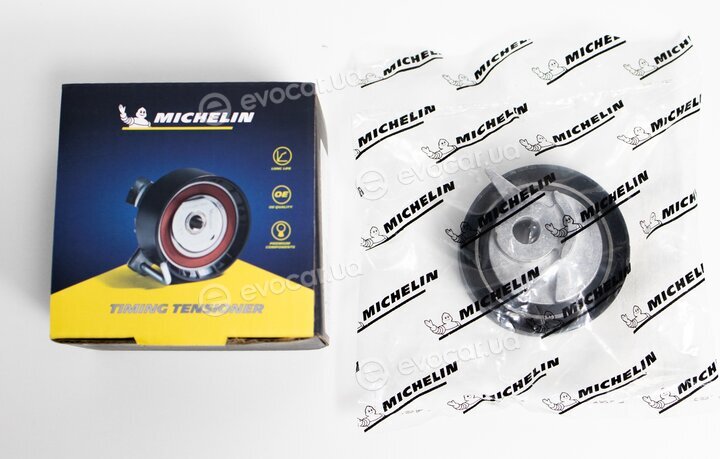 Michelin FMMT01317