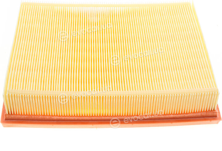 Mann C 24 028