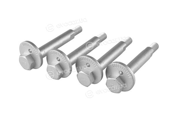 Tedgum TED55077