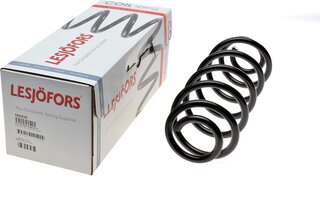 Lesjofors 4204276