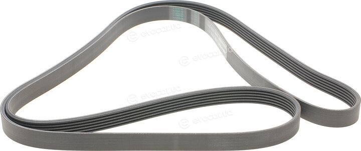 Continental 6PK2175