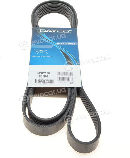 Dayco 6PK2170