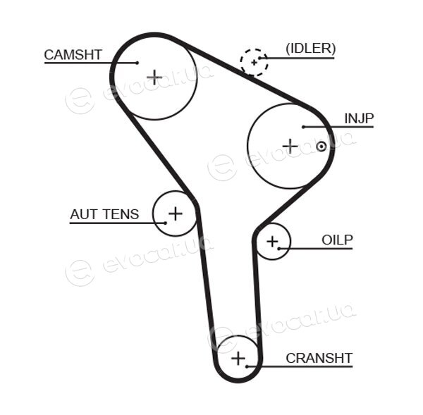 Gates K015564XS