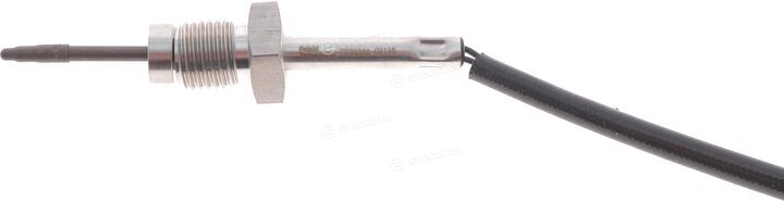 Delphi TS30356