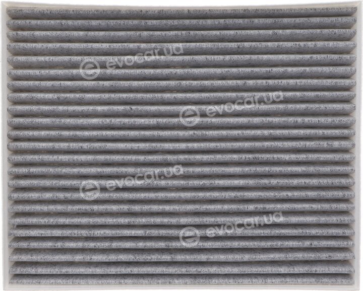 Solgy 104149