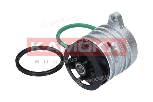 Kamoka T0274