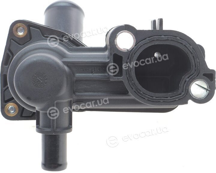 AIC 55638