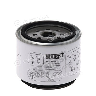 Hengst H7045WK30
