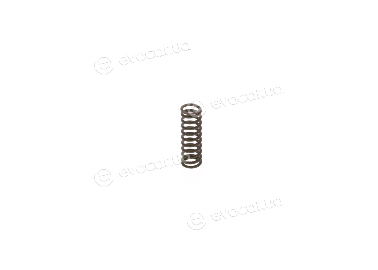 Bosch 2 444 618 006