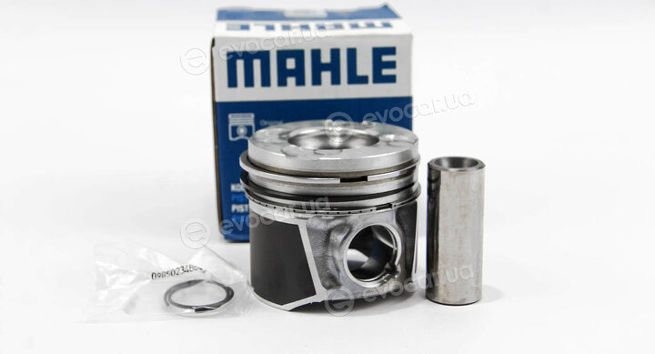Mahle 010 04 00
