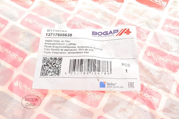 Bogap B1710104