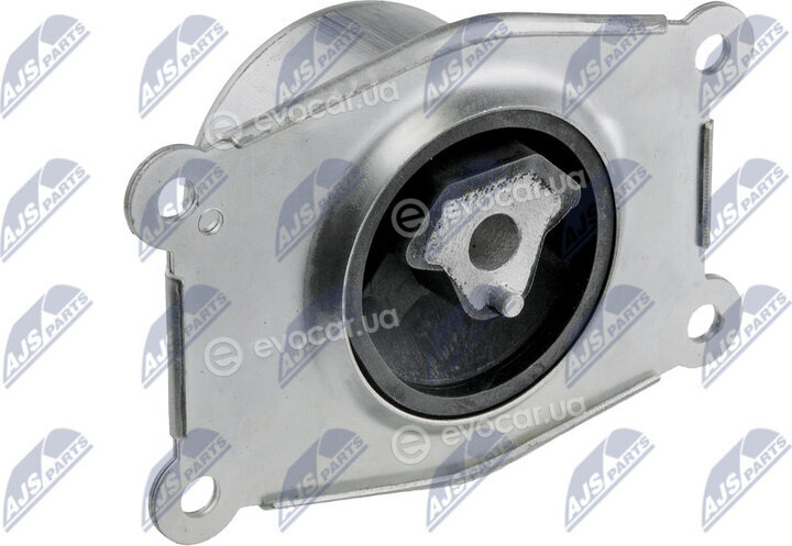 NTY ZPS-PL-029