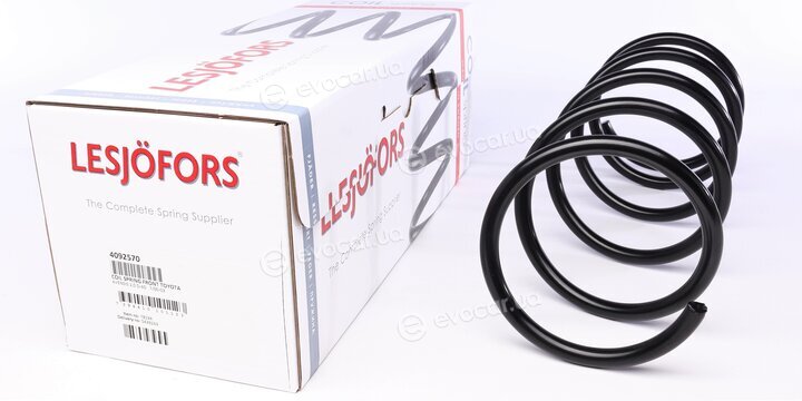 Lesjofors 4092570
