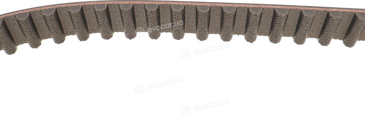 SKF VKMC 06005