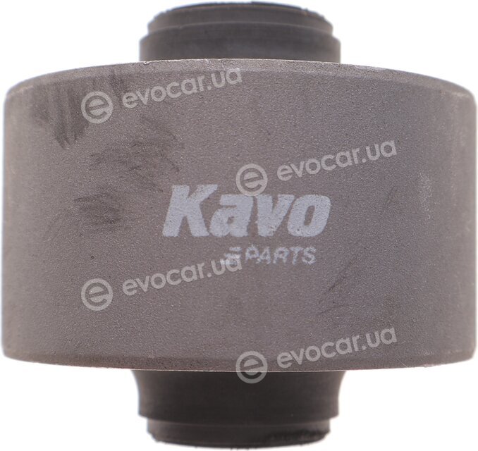 Kavo SCR-4043