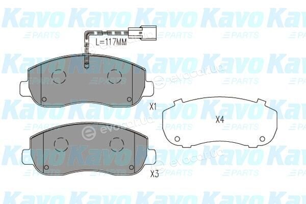 Kavo BP-6635