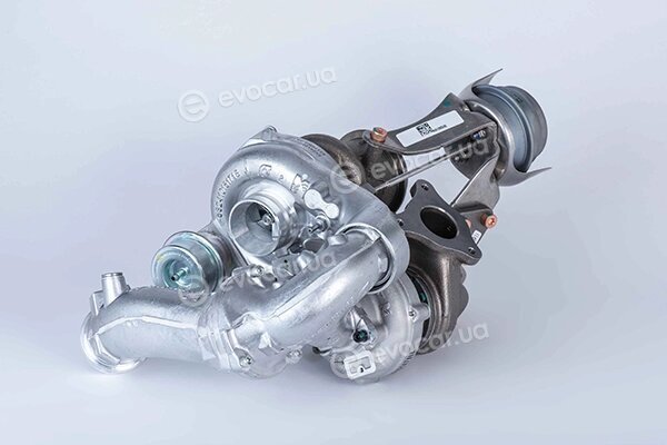 BorgWarner 10009880074