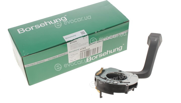 Borsehung B17976