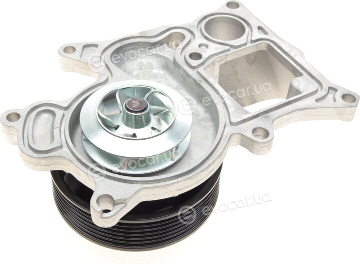Hepu P419
