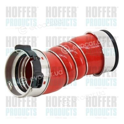 Hoffer 96716