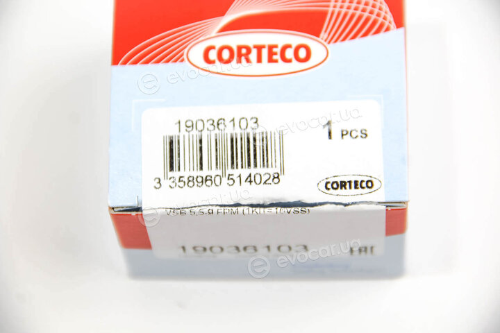 Corteco 19036103