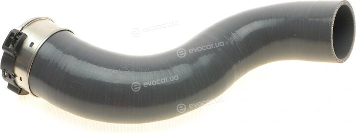 Solgy 114194