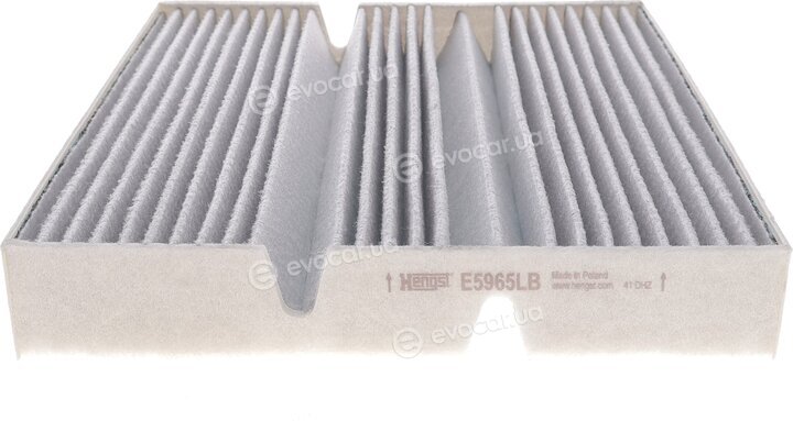 Hengst E5965LB