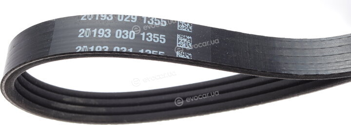 Dayco 4PK805