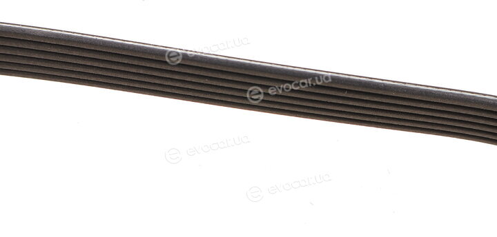 Dayco 6PK2565