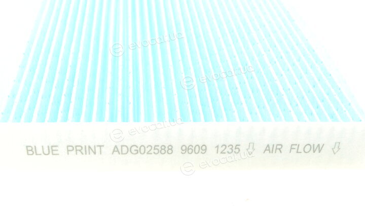 Blue Print ADG02588