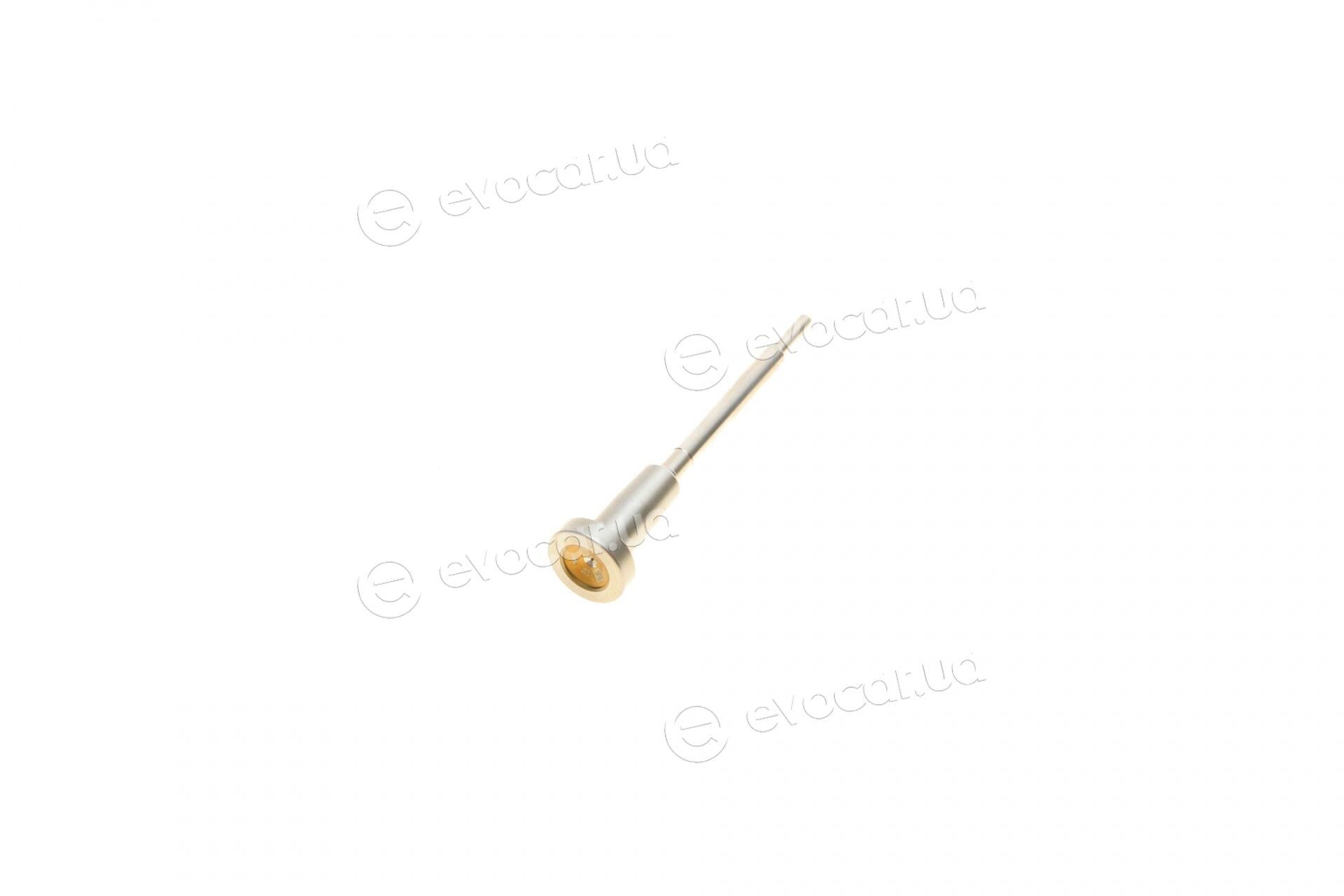Bosch F 00V C01 003