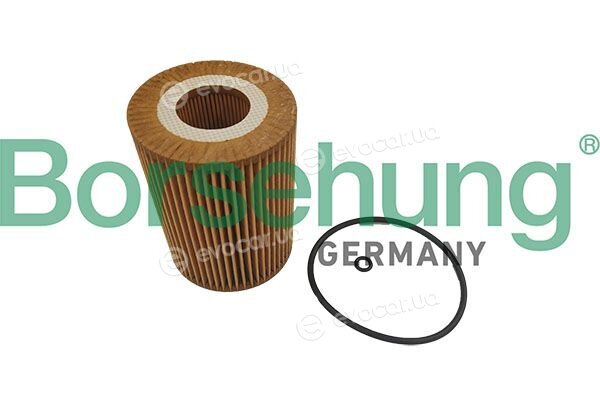 Borsehung B10467