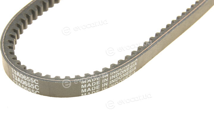 Dayco 13A0655C