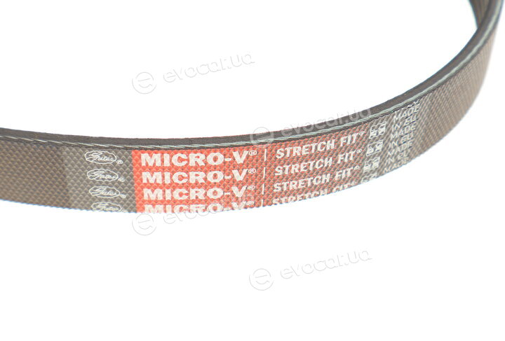 Gates 6PK1019SF