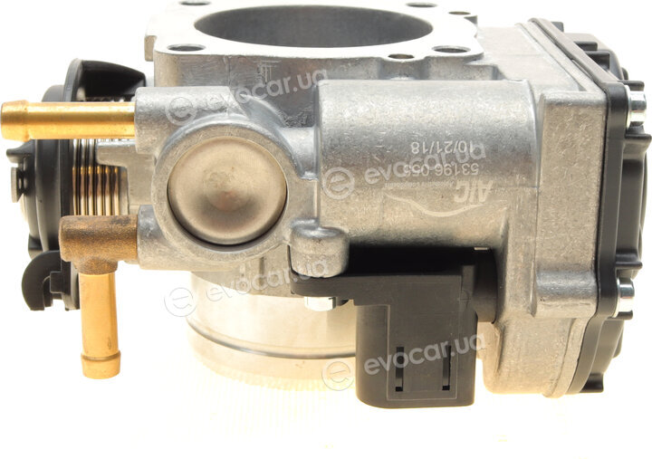 AIC 53196