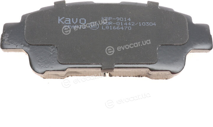 Kavo KBP-9014