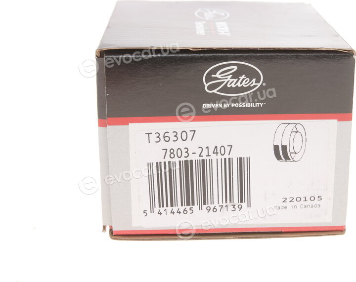 Gates T36307