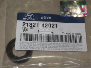 Kia / Hyundai 2132142021