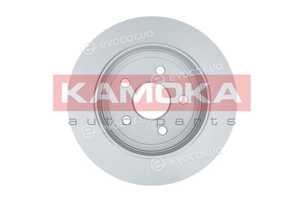 Kamoka 103113